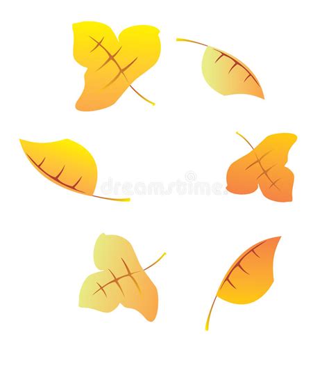 Autumn Leaves Stock Vector Illustration Of Fall Trees 20777266
