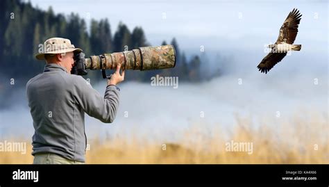 Professional Wildlife Photographer Outdoor Stock Photo Alamy
