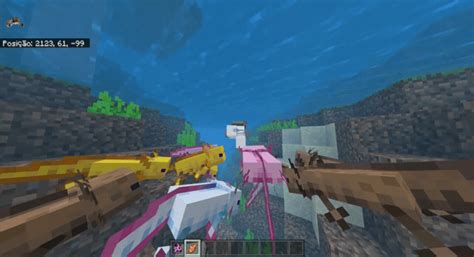 MCPE Bedrock Axolotls Replica Concept Minecraft Addons MCBedrock Forum