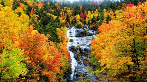 Waterfall On Rocks Between Colorful Autumn Spring Leafed Trees Forest