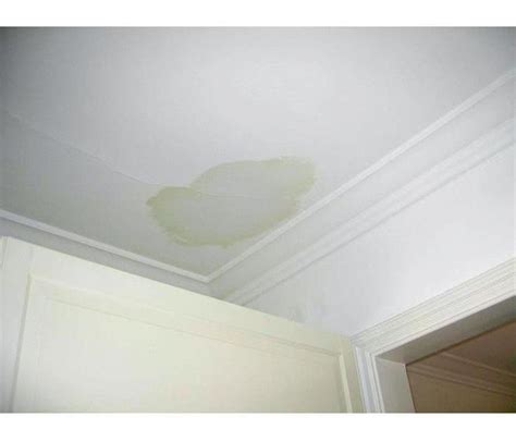 Water damage mold is one of the gravest effects of water damage in a home. How a Leaking Roof Damages Your Dallas Home | SERVPRO of ...