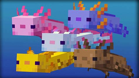 Everything You Need To Know About A Minecraft Axolotl