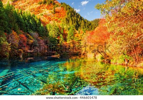 Amazing View Five Flower Lake Multicolored Stock Photo Edit Now 446601478