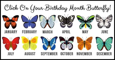 Find Out What Your Birth Month Butterfly Reveals About You