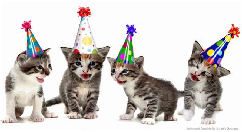 funny cute cat singing happy birthday song gold debut1980