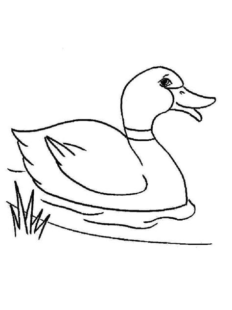 Desenhos De Pato Nadador Para Colorir E Imprimir Colorironline Com