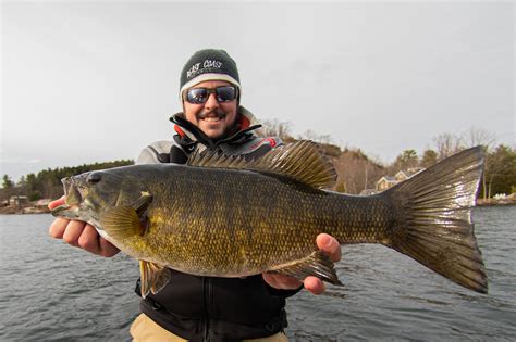Fall Tactics For Northern Smallmouth Bass In Fisherman
