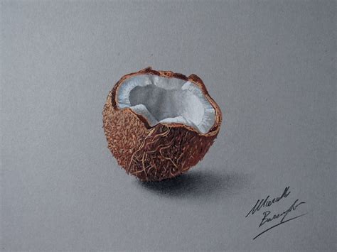 coconut-drawing-by-marcellobarenghi-deviantart-com-on-@deviantart-deviantart-pinterest