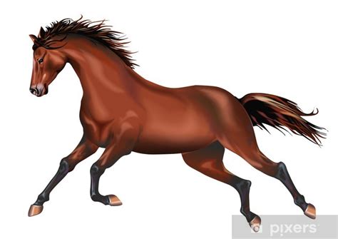 Galoppierendes pferd, viele partikel, skizze, vector illustration, die moralische entwicklung und fortschritt. Aufkleber Galoppierendes Pferd Isolated • Pixers® - Wir ...