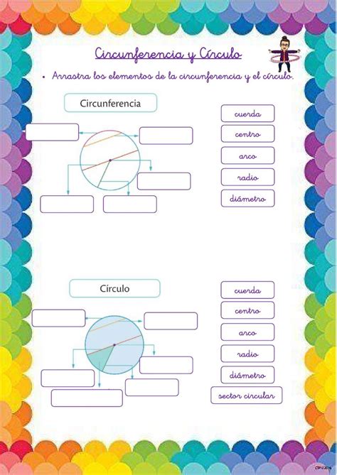 Circulo E Circunferencia Atividades