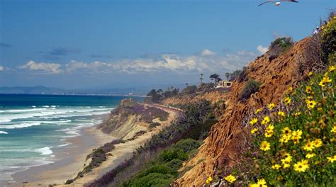 Visite Del Mar O Melhor De Del Mar Califórnia Viagens 2023