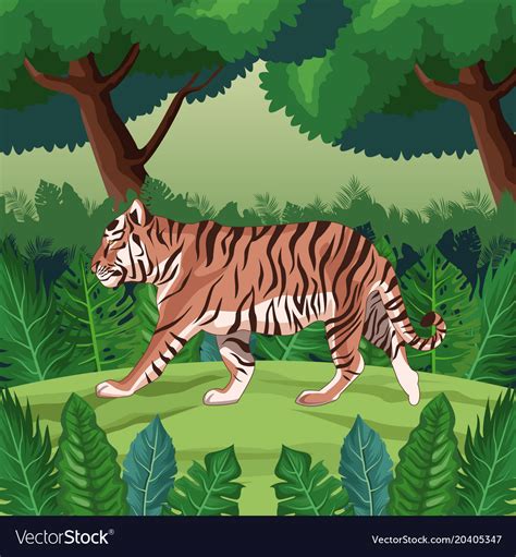 Tiger In Jungle Royalty Free Vector Image VectorStock