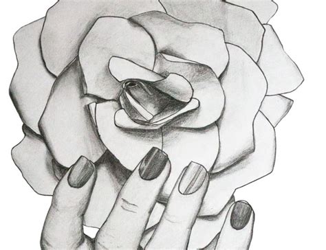 Flores Imagenes De Rosas Para Dibujar A Lapiz Flores Facil Pedicure