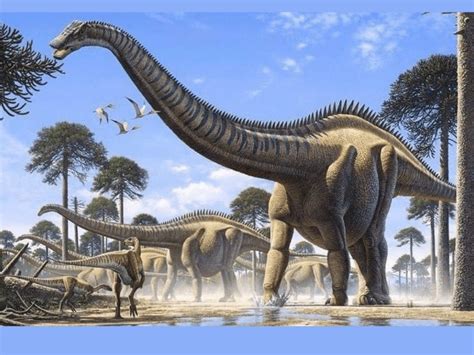 Top 10 Largest Dinosaurs In The World