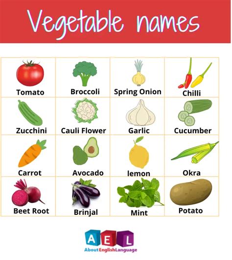 Vegetable Names In English 8 Useful Types And List With Pictures