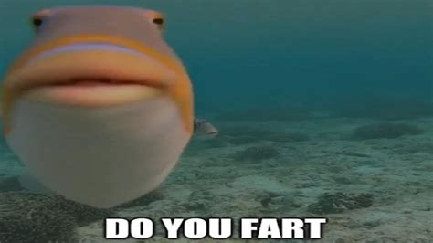Do You Fart Fish Meme Generator Template Soupmemes