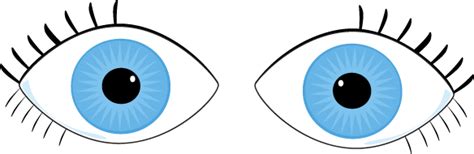 Eyeball Eye Clip Art Clipart Image