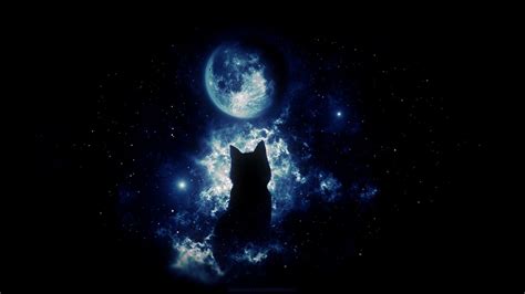 If you have your own one, just send us the image and we will show it on the. Download wallpaper 1366x768 cat, silhouette, moon, starry ...