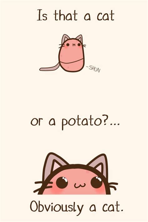Definitely A Cat Xd Kawaii Potato Potato Funny Cute Potato
