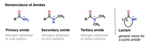 Amides Examples