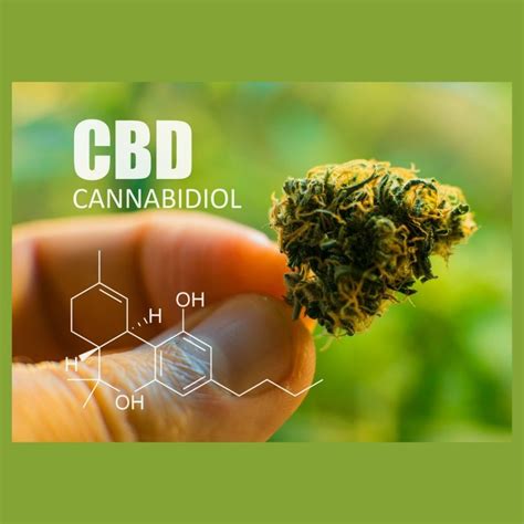 Beneficios Del Cbd Asociaci N Amala De Cannabis