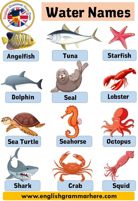 Water Animals List In English