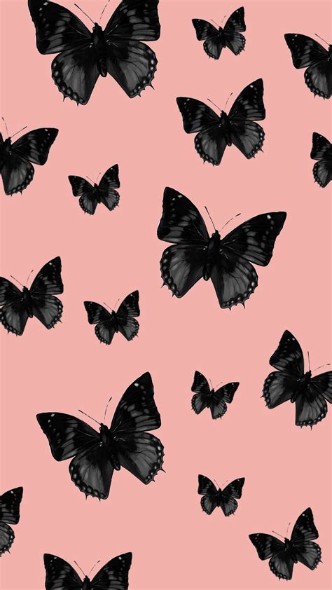 Black And Pink Butterflies Wallpaper