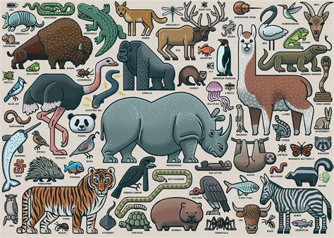 Ravensburger You Wild Animal 1000 Piece Jigsaw Puzzle