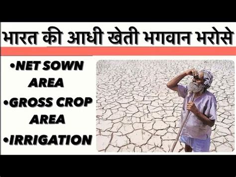 Net Sown Area And Gross Crop Area In Hindi Irrigation Indian