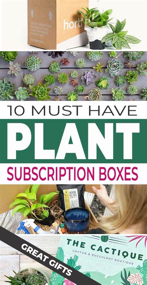 10 Must Have Plant Subscription Boxes • The Garden Glove