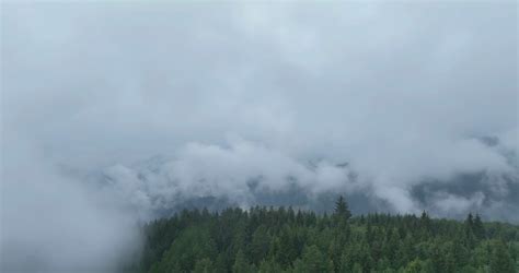 Rainy Weather In Mountains Misty Fog Blowing Stock Footage Sbv