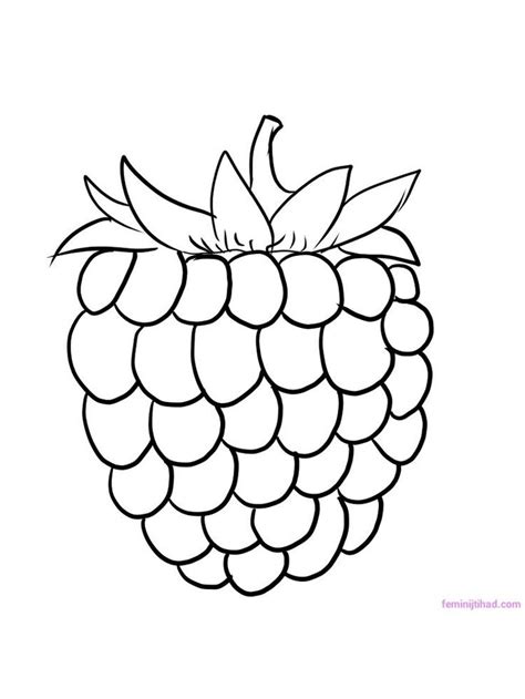 Raspberry Coloring Picture
