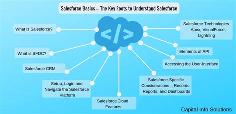 Learn Salesforce Basics Key Roots To Understand Salesforce