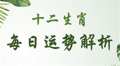 十二生肖每日运程 十二生肖今日运势 善吉网