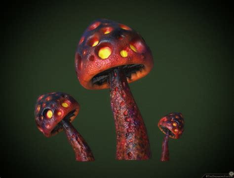 Evil Mushrooms The Dreaming State