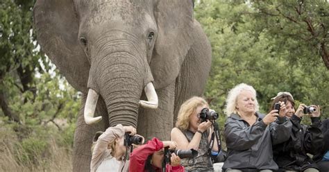 Animal Photobomb Elephant Sneaks Into Picture As Brit Tourists Pose