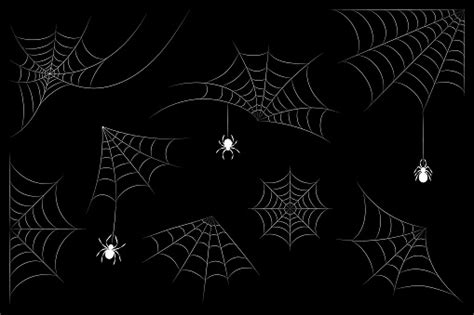 Set Of Cobwebs With White Outline Spiders On Black Background Stock