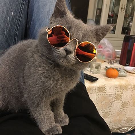 3pcs 13styles Pet Glasses Lovely Pet Cat And Dog Sunglasses Etsy