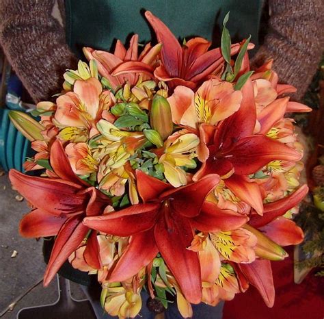 When you send a deal of the day bouquet, you can feel confident knowing a local florist will create an unforgettable flower arrangement with their own signature style and flair. Copper Lily and Alstroemeria Bouquet | Alstroemeria ...