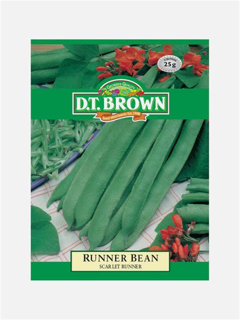 Runner Bean Scarlet Runner Vegetable Seed Seeds Shop Gubba