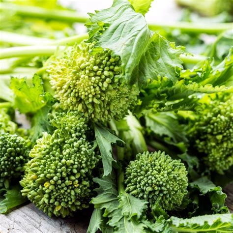 250 Broccoli Raab Spring Rapini Seeds Organic Heirloom Etsy