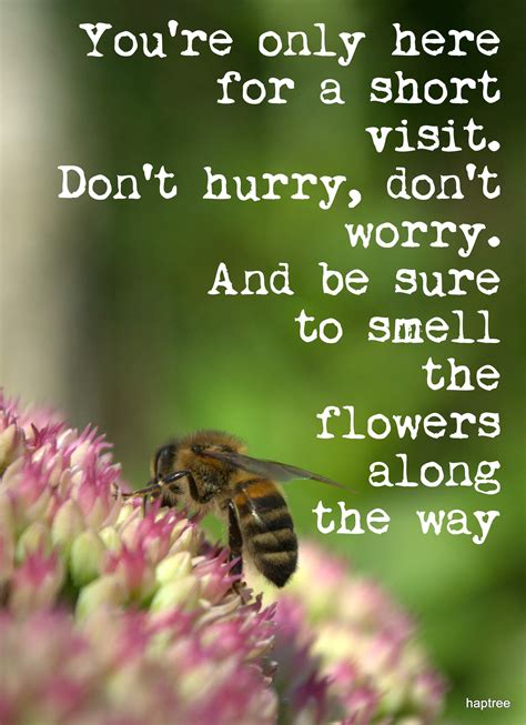 Youre Only Here For A Short Visit Dont Hurry Dont Worry And Be Sure To Smell The Flowers
