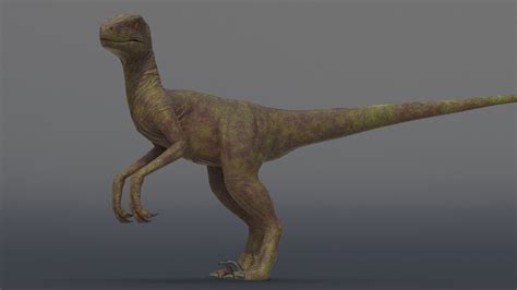 3d Model Velociraptor Vr Ar Low Poly Rigged Animated Cgtrader