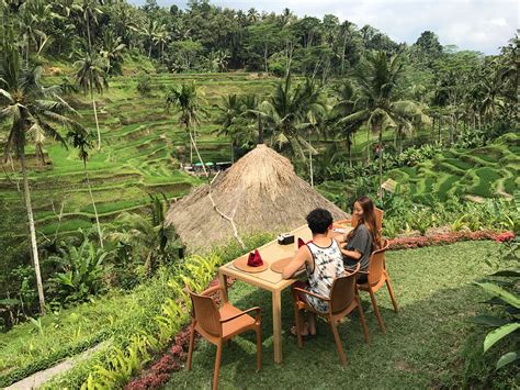 Tempat Wisata Sawah Di Bali Tempat Wisata Indonesia