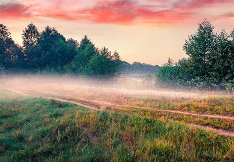 Foggy Summer Sunset On Ukrainian Countryside Splendid Evening Scene Of