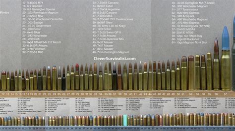 Ballistics Cartridge And Ammunition Components 2 Bullet