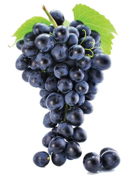 Black Grape Grape Png Image And Grape Clip Art Grapes Grape Soda Fruit
