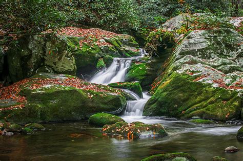Waterfall Great Smoky Mountains Photograph By Rich Franco Fine Art