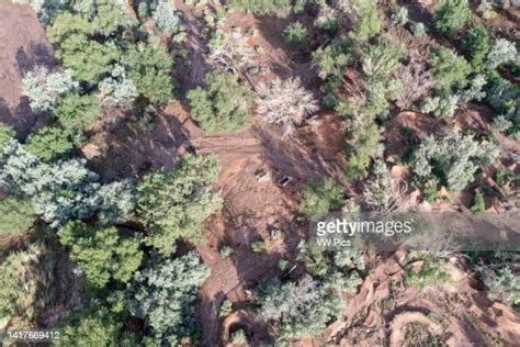 Severe Soil Erosion Photos And Premium High Res Pictures Getty Images