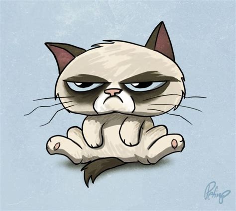 1000 Images About Grumpy Cat On Pinterest Grumpy Cat Cartoon Hate